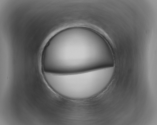 X0000110991512200906191100