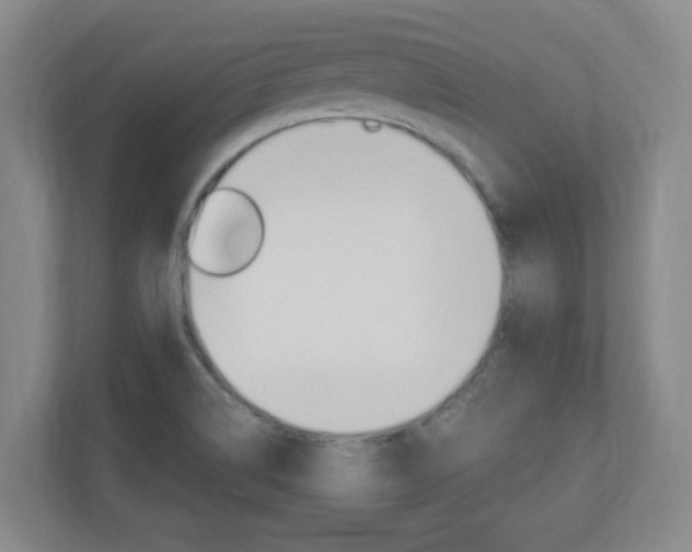 X0000110991514200906191100