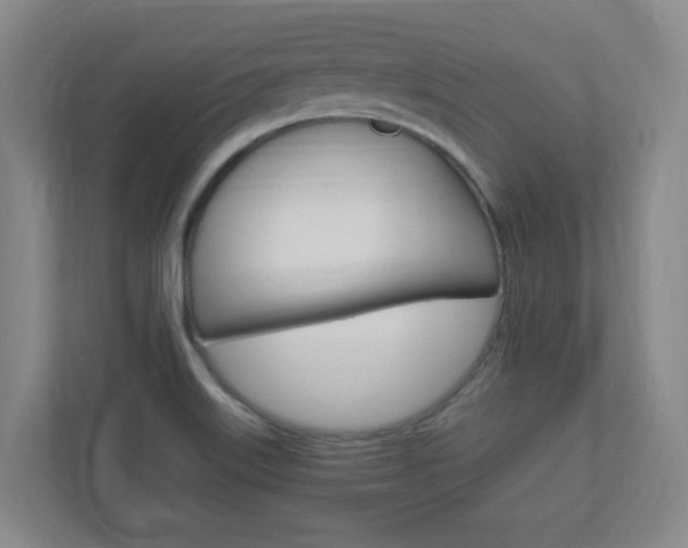 X0000110991515200906191100