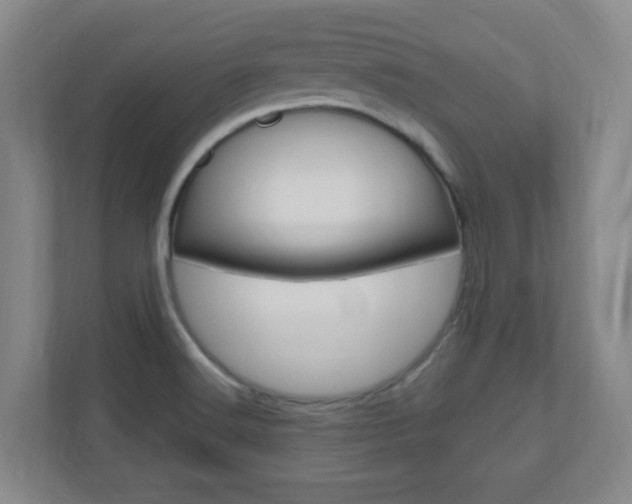 X0000110991516200906191100