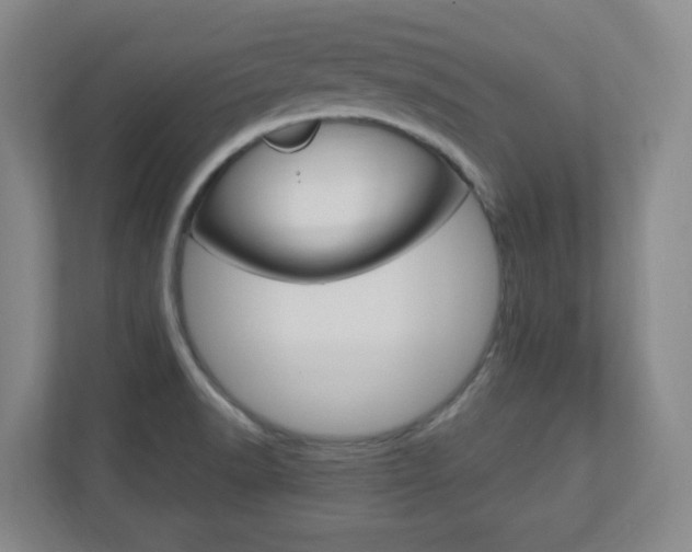 X0000110991518200906191100