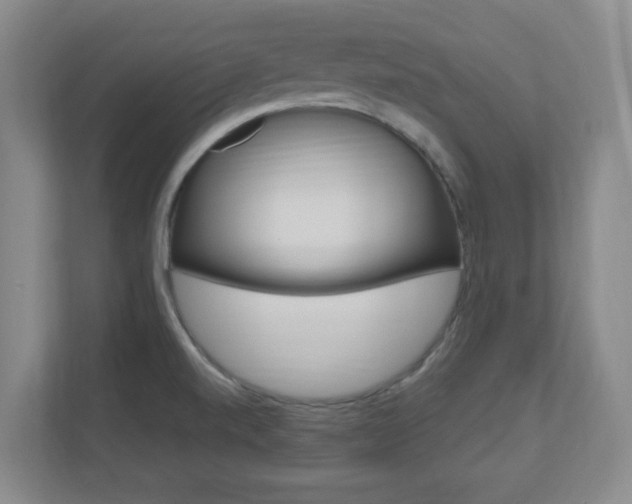 X0000110991520200906191100