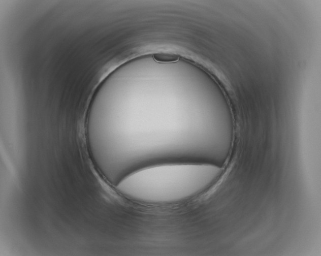 X0000110991521200906191100
