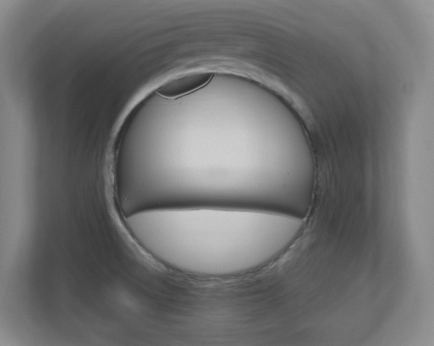 X0000110991522200906191100