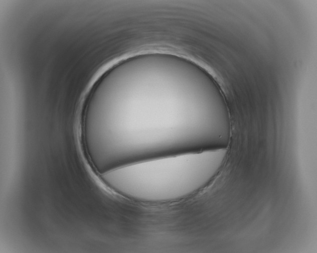X0000110991523200906191100