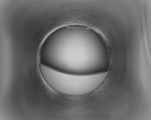 X0000110991524200906191100