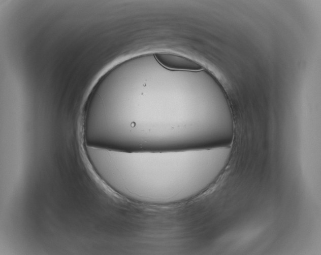 X0000110991526200906191100