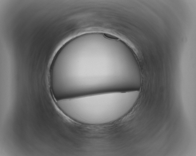 X0000110991527200906191100