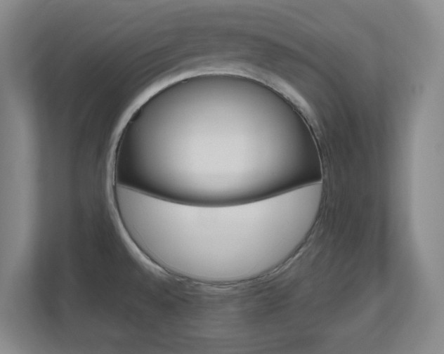 X0000110991528200906191100