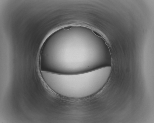 X0000110991530200906191100