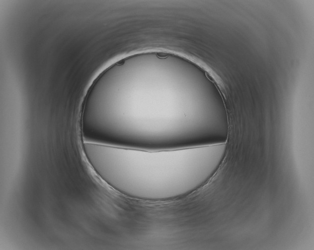 X0000110991534200906191100