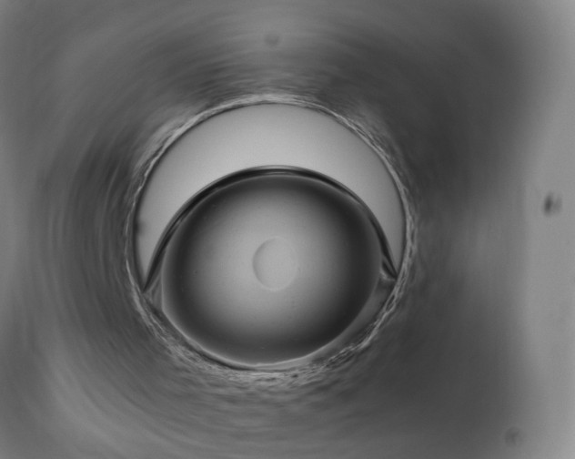 X0000110990001200906191438
