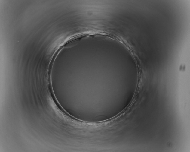 X0000110990002200906191438