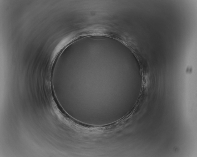 X0000110990004200906191438