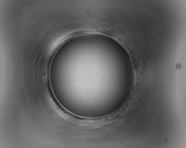 X0000110990005200906191438