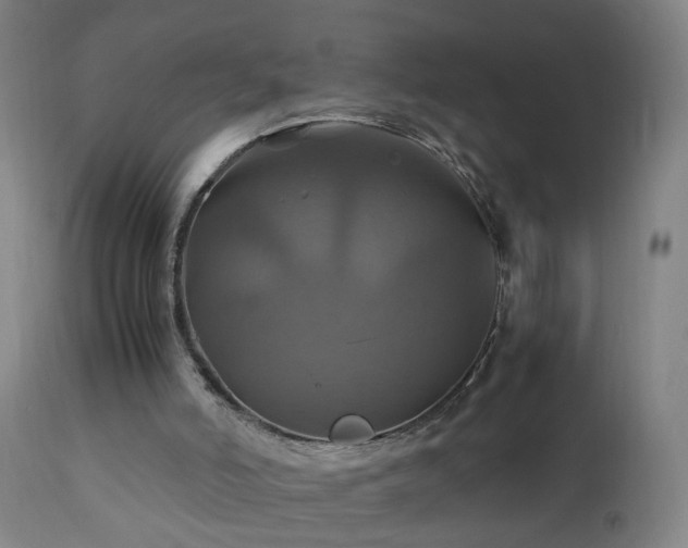 X0000110990006200906191438
