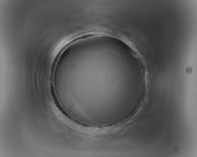 X0000110990007200906191438