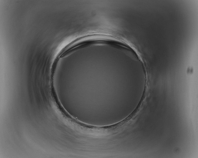X0000110990008200906191438