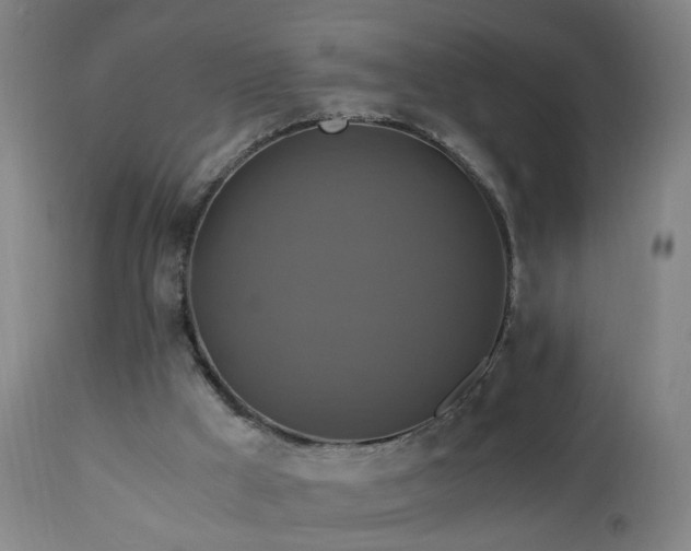 X0000110990009200906191437