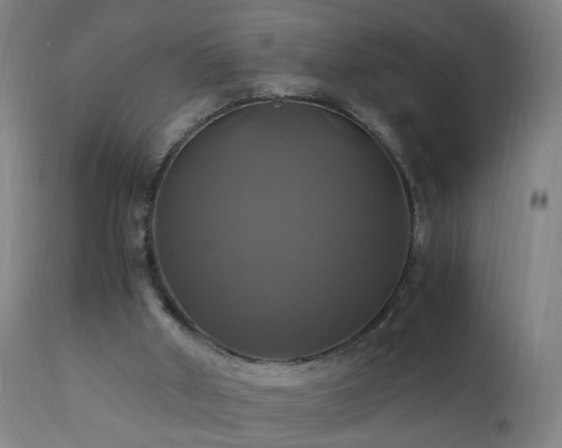 X0000110990010200906191437