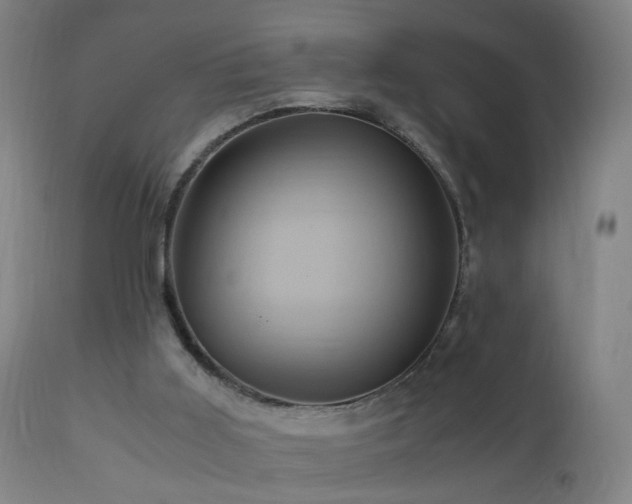 X0000110990011200906191437