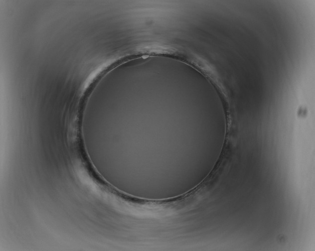 X0000110990012200906191437