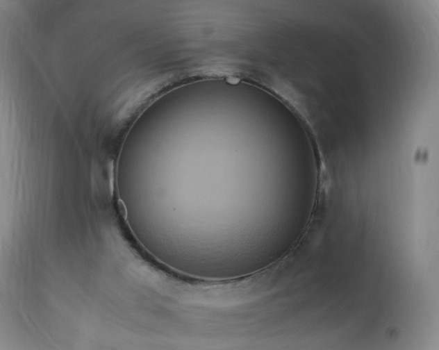 X0000110990013200906191437