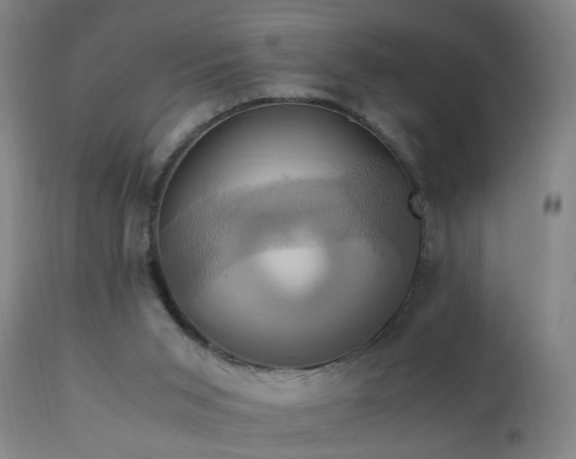 X0000110990015200906191437