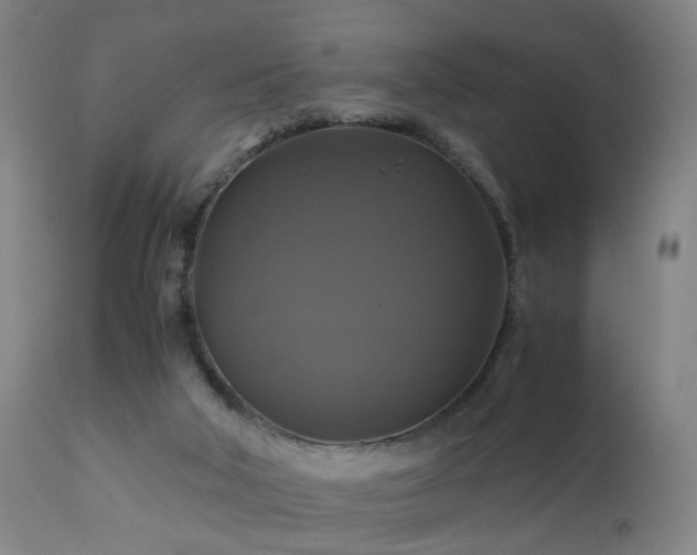 X0000110990018200906191437