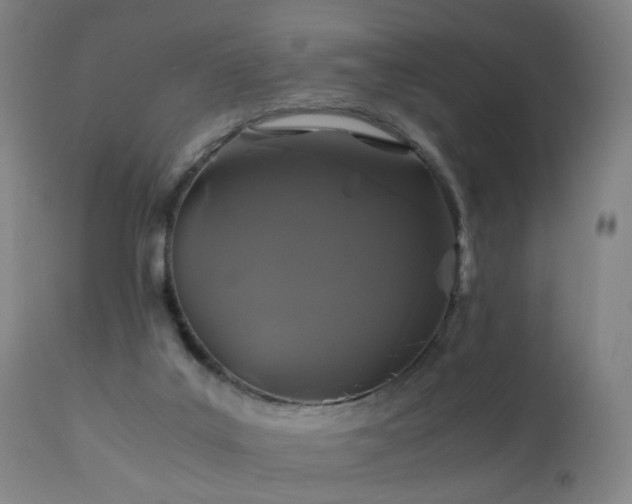 X0000110990019200906191437