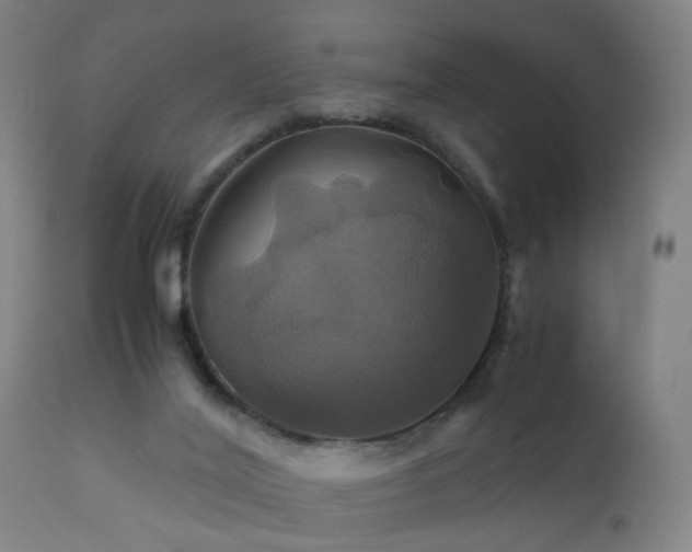X0000110990020200906191437