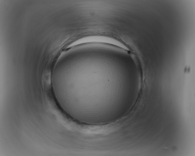 X0000110990021200906191437