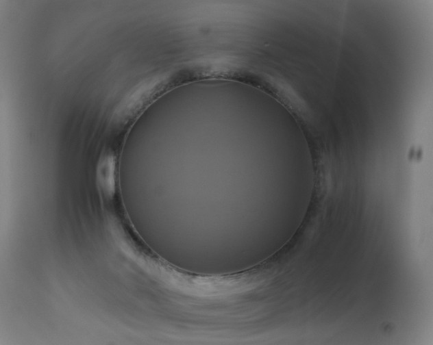 X0000110990022200906191437