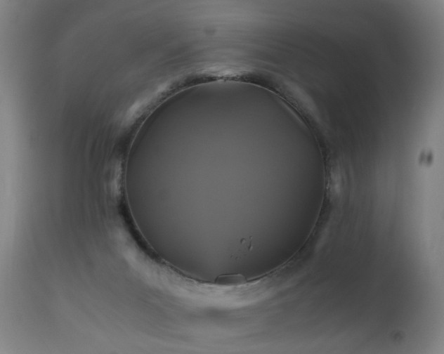 X0000110990023200906191437