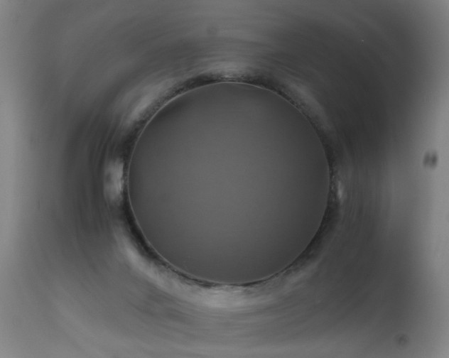 X0000110990024200906191437