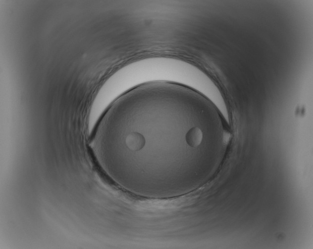 X0000110990025200906191437