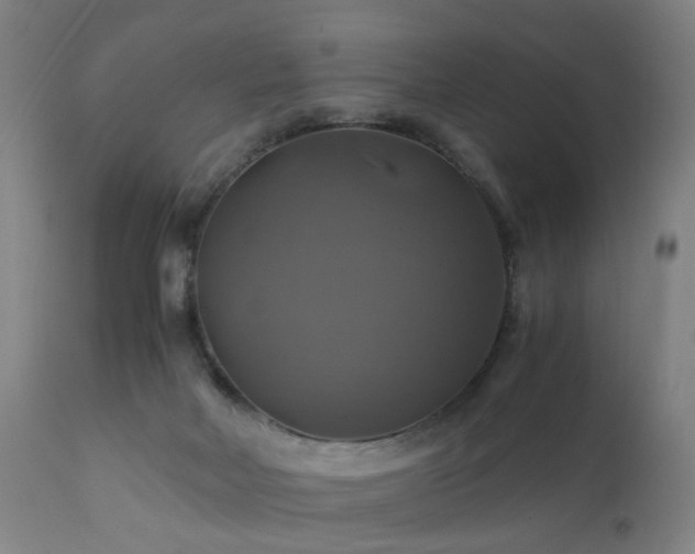 X0000110990026200906191437