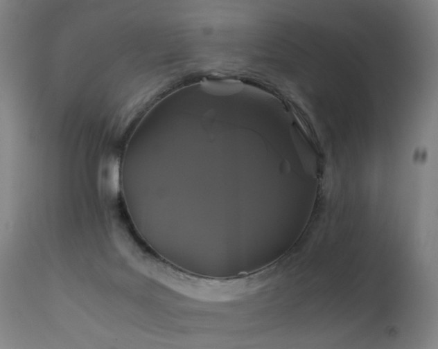 X0000110990027200906191437