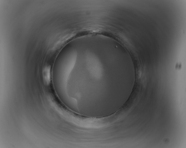 X0000110990028200906191437