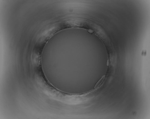 X0000110990029200906191437