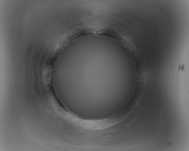 X0000110990030200906191437