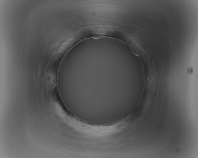 X0000110990031200906191437