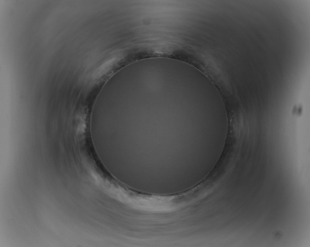 X0000110990032200906191437