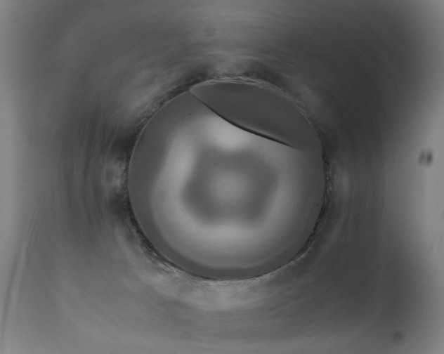 X0000110990033200906191437
