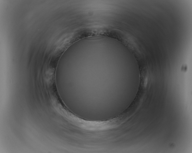 X0000110990034200906191437