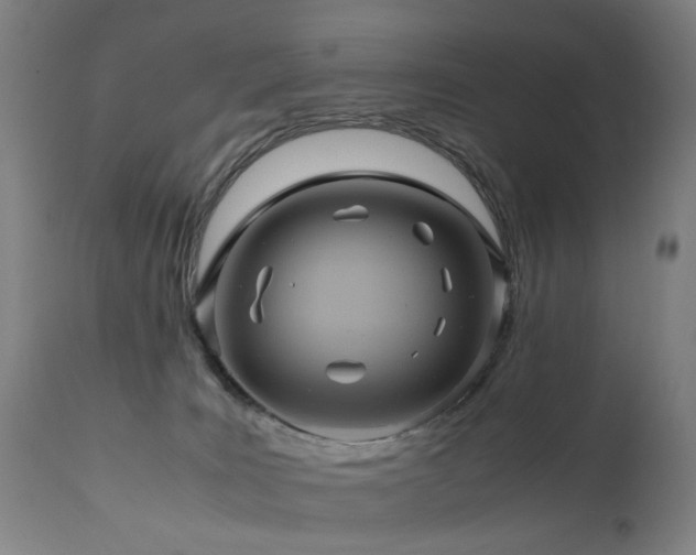 X0000110990035200906191437