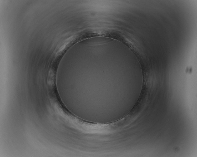 X0000110990036200906191437
