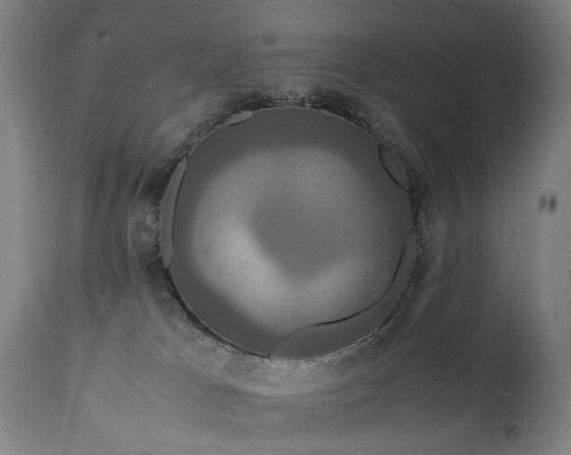 X0000110990037200906191437
