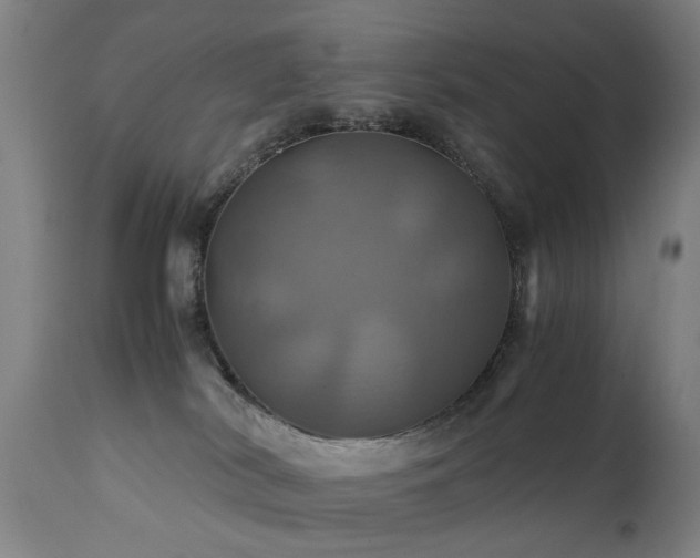 X0000110990038200906191437