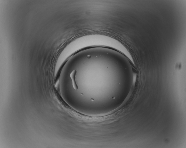 X0000110990039200906191437